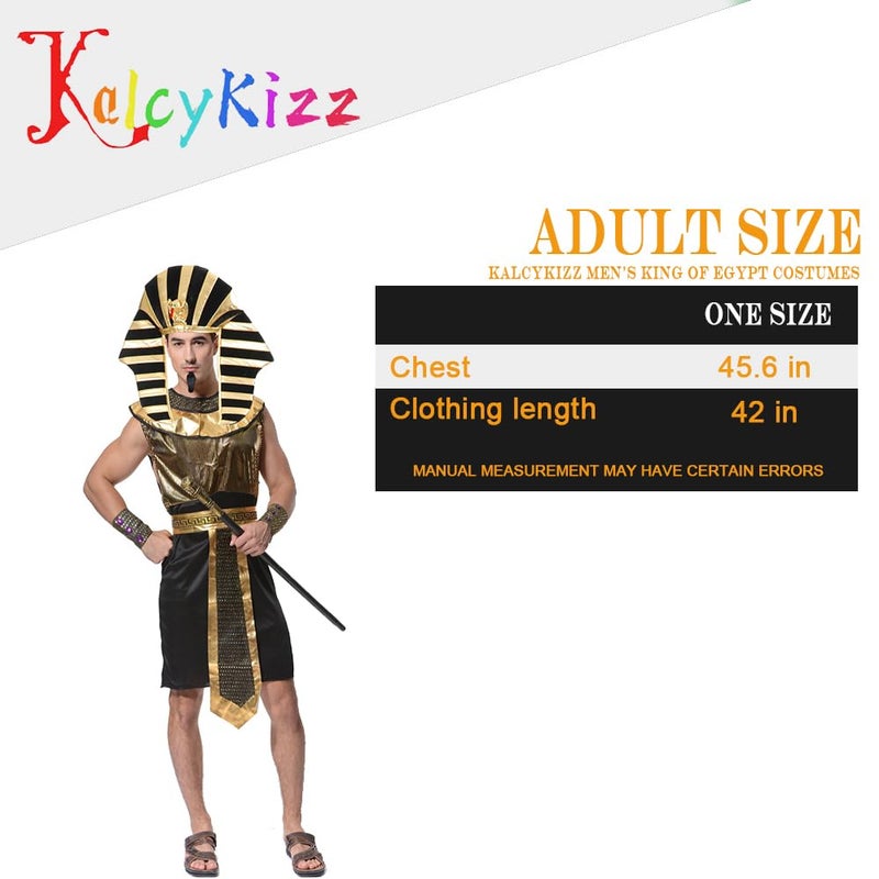 KalcyKizz Men's King of Egypt Costumes,Black,golden,One Size - Image 2